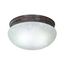 2 Light 12" Flush Mount Large Alabaster Mushroom Old Bronze Finish (Pack of 2)