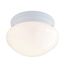 1 Light 8" Flush Mount Small White Mushroom White Finish (Pack of 2)