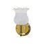 1 Light 5" Vanity w/ Frosted Grape Shade & On/Off Switch Polished Brass Finish (Pack of 3)