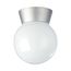 1 Light 8" Utility Ceiling Mount w/ White Glass Globe Satin Aluminum Finish