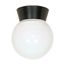 1 Light 8" Utility Ceiling Mount w/ White Glass Globe Bronzotic Finish