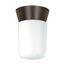1 Light 8" Utility Ceiling Mount w/ White Glass Cylinder Bronzotic Finish