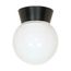 1 Light 8" Utility Ceiling Mount w/ White Glass Globe Black Finish