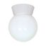 1 Light 8" Utility Ceiling Mount w/ White Glass Globe White Finish