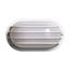1 Light 10" Oval Cage Wall Fixture Polysynthetic Body & Lens White Finish