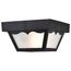 1 Light 8" Carport Flush Mount w/ Frosted Acrylic Panels Black Finish