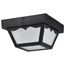 1 Light 8" Carport Flush Mount w/ Frosted Acrylic Panels Black Finish