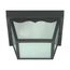 2 Light 10" Carport Flush Mount w/ Frosted Acrylic Panels Black Finish