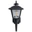 1 Light 17" Coach Lantern w/ Finial Beveled Acrylic Panels Black Finish