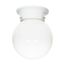 1 Light 6" Flush w/ White Glass White Finish