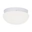 2 Light 12" Flush w/ White Glass White Finish