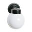 1 Light 6" Outdoor Wall w/ White Glass Black Finish