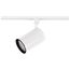 1 Light R30 Track Head Straight Cylinder White Finish (Pack of 2)