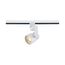 1 Light LED 12W Track Head Angle Arm White 24 Deg. Beam