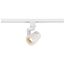 1 Light LED 12W Track Head Angle Arm White 36 Deg. Beam
