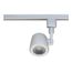 1 Light LED 12W Track Head Taper Back White 24 Deg. Beam