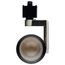 Lantern 12 Watt LED Track Head 36 Degree Beam Spread 3000K Brushed Nickel Finish