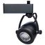 12 Watt LED Track Head Starfish Enabled Pinch Back Black Finish 120 Volt RGBTW