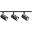3 Light R30 Straight Cylinder Track Kit 4 foot Track Black