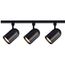 3 Light R30 Bullet Cylinder Track Kit 4 foot Track Black