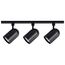 3 Light R30 Bullet Cylinder Track Kit 4 foot Track Black