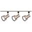 3 Light R30 Step Cylinder Track Kit 4 foot Track Brushed Nickel