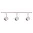 Track Lighting Kit 12 Watt LED 3000K 4 foot Track 36 degree Round shape White finish