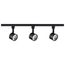 Track Lighting Kit 12 Watt LED 3000K 4 foot Track 36 degree Round shape Black finish