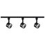 Track Lighting Kit 12 Watt LED 3000K 4 foot Track 36 degree Round shape Black finish