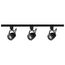 Track Lighting Kit 12 Watt LED 3000K 4 foot Track 36 degree Pinch back Black finish