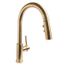 Neo  Pull Down Kitchen Faucet, 1.8 gpm (Aged Brass), SB-1042-BRB