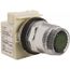 Push-Button Switch, 30 mm Mounting Hole Dia, Momentary, 600V, 9001K1L1G