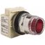 Push-Button Switch, 30 mm Mounting Hole Dia, Momentary, 600V, 9001K1L1R