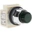 Push-Button Switch, 30 mm Mounting Hole Dia, Momentary, 600V, 9001K2L1G