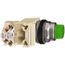 Push-Button Switch, 30 mm Mounting Hole Dia, Momentary, NC/NO, 600VAC, Illuminated, Incandescent, 9001K2L35GH13