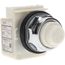 120 VAC White Lens Indicating Light, Screw Clamp, 9001KP1W31