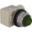 120 V Green Lens Incandescent Pilot Light, Screw Clamp, 9001KP38G31