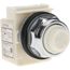 120 V White Lens LED Indicating Light, Screw Clamp, 9001KP38LWW31