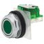 Push-Button Switch, 30 mm Mounting Hole Dia, Momentary, NO, 600VAC, 9001KR1GH5