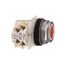 Push-Button Switch, 30 mm Mounting Hole Dia, Momentary, NC/NO, 600VAC, 9001KR1RH13