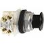 Push-Button Switch, 30 mm Mounting Hole Dia, Momentary, NC/NO, 600VAC, 9001KR24BH13