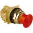 Push-Button Switch, 30 mm Mounting Hole Dia, Momentary, NC/NO, 600VAC, 9001KR24RH13