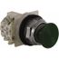 Push-Button Switch, 30 mm Mounting Hole Dia, Momentary, NC/NO, 600VAC, 9001KR4GH13
