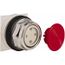 Push-Button Switch, 30 mm Mounting Hole Dia, Momentary, 600V, 9001KR4R