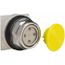 Push-Button Switch, 30 mm Mounting Hole Dia, Momentary, 600VAC, 9001KR4Y