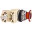 Push-Button Switch, 30 mm Mounting Hole Dia, Maintained, NC/NO, 600VAC, 9001KR9P1RH13