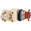 Push-Button Switch, 30 mm Mounting Hole Dia, Maintained, Illuminated, 9001KR9P35LRR