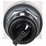 Selector Switch, 2 Positions, Maintained (MA), 600V, Black Knob & Push Button, 9001KS11B