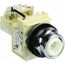 120 VAC Indicating Light, Screw Clamp, 9001KT38