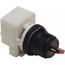 Selector Switch, 2 Positions, Maintained (MA), Red Knob & Push Button, 9001SK11J1R